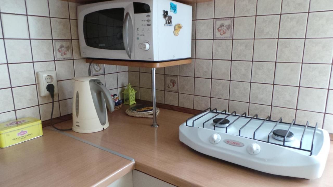 Гостевой дом U Viktora Guest House Брест-27