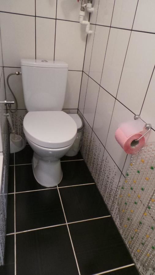 Гостевой дом U Viktora Guest House Брест-36