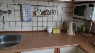 Гостевой дом U Viktora Guest House Брест Апартаменты - 1-й этаж-22