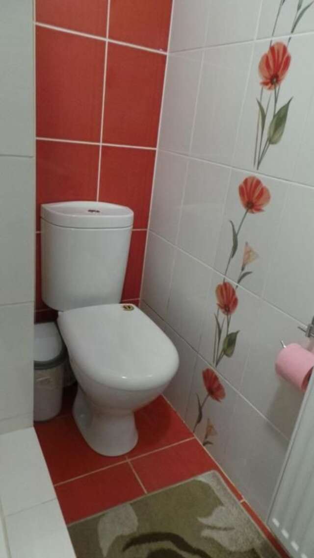 Гостевой дом U Viktora Guest House Брест-55